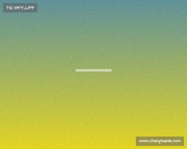 赛事规程的主要内容—赛事规程正式发布与全面阐释